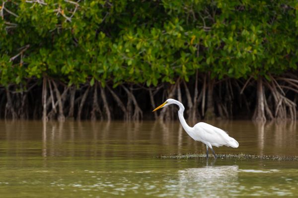 foto:Alfredo Zermeño Núñez - lo hecho en México