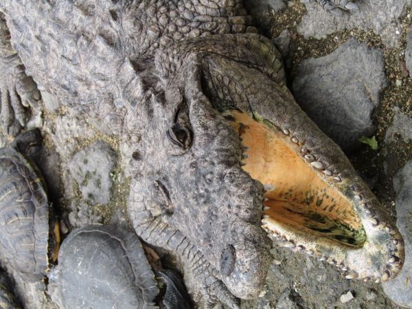 foto:Angelica Gomez Montalvo - lo hecho en México