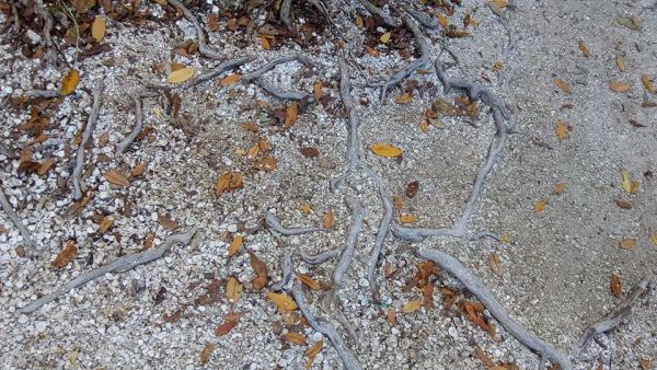 foto:Angelica Gomez Montalvo - lo hecho en México