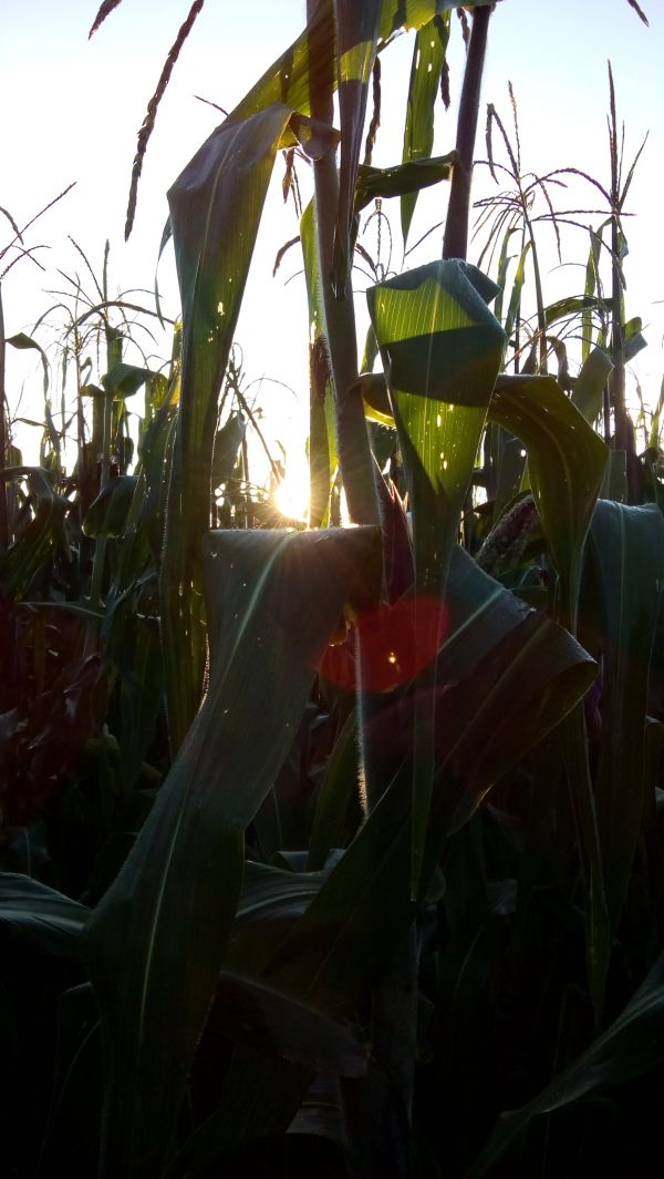 foto:José Ivan Hernández Morales - lo hecho en México