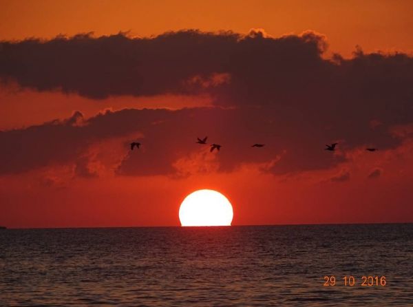 foto:Oliver Emilio  González  García  - lo hecho en México