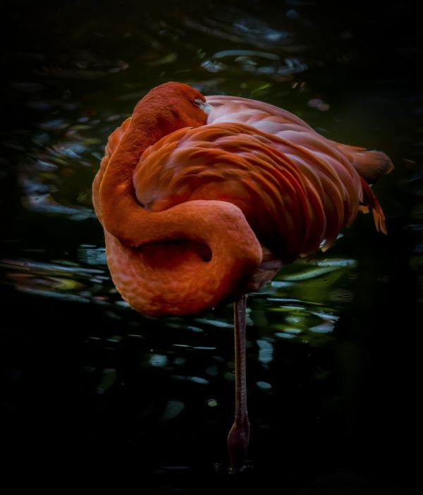 foto:JUAN ANGEL ALVAREZ BARRA - lo hecho en México