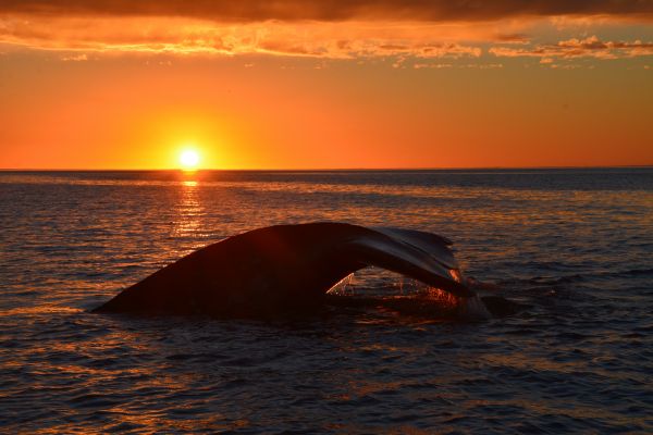 foto:Sergio Martínez Aguilar - lo hecho en México