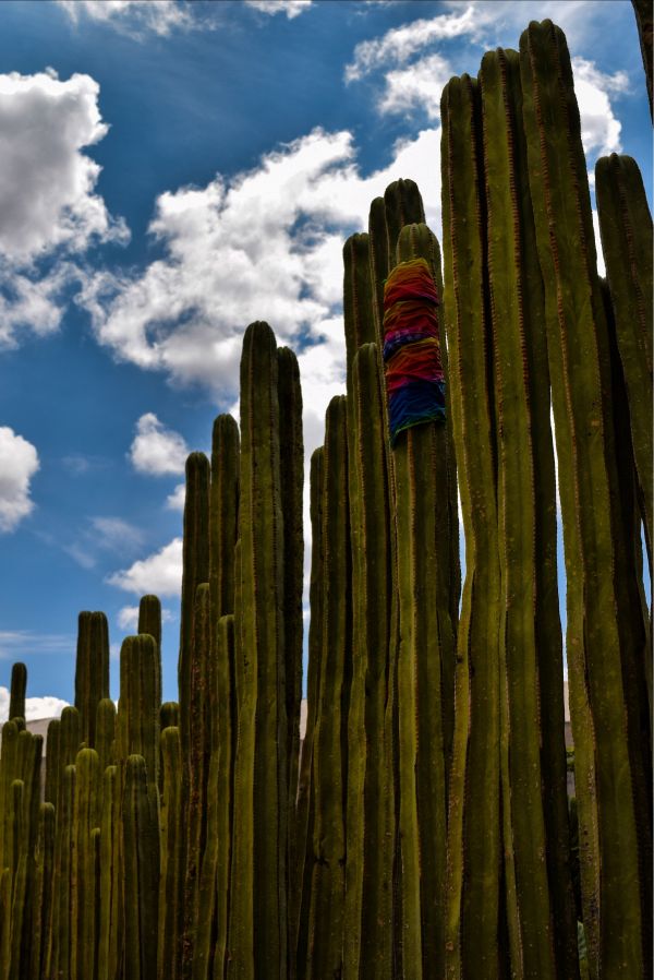 foto:Annique Joanna  Hernández  Hernández  - lo hecho en México