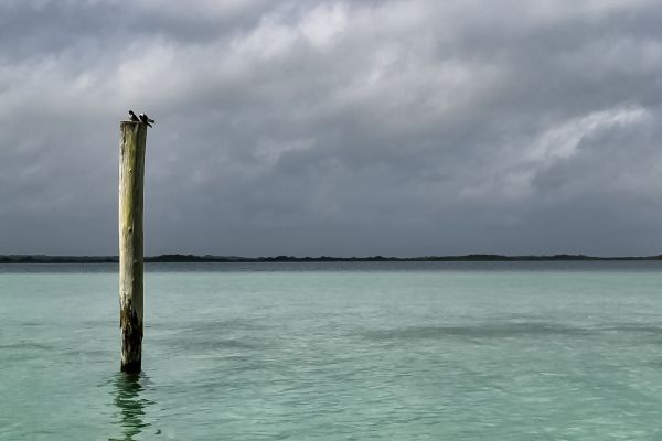 foto:Gerardo angel Davila Jaimes - lo hecho en México