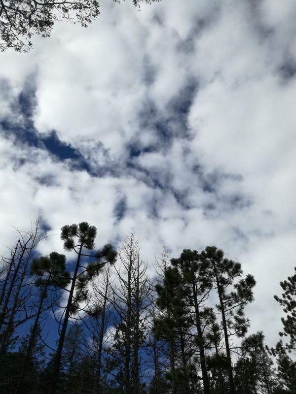 foto:Aldo Rafael Martínez Sifuentes - lo hecho en México