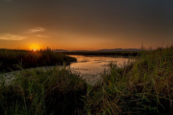 foto:ARMANDO  RAMOS FLORES - lo hecho en México