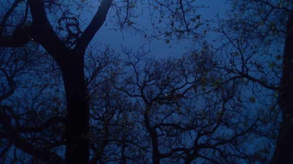 foto:Venus Amanda Hernández Romero - lo hecho en México