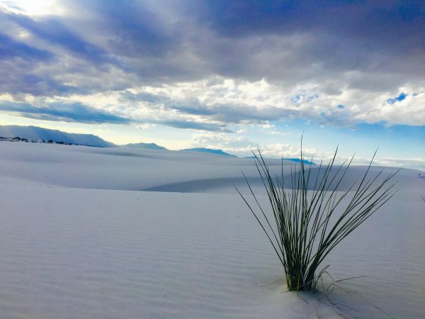 foto:Joel Rascón Solano - lo hecho en México