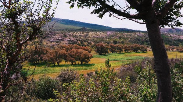 foto:Ana Paula Villegas Yeo - lo hecho en México