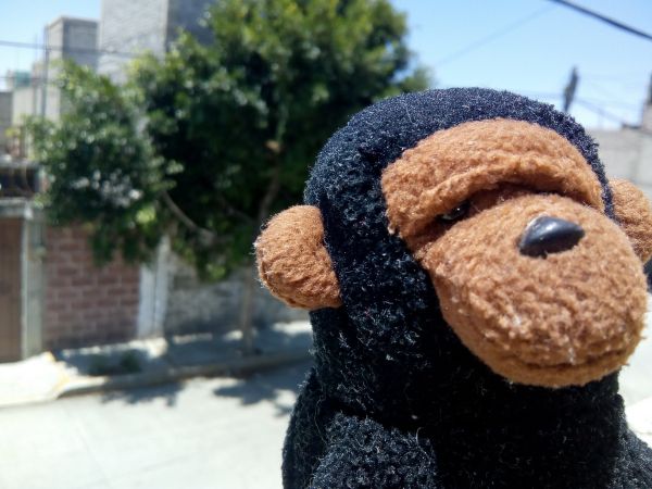 foto:José Eduardo  Montalvo Rodríguez - lo hecho en México