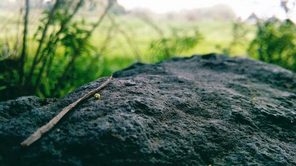 foto:Leonardo Orozco Cárdenas - lo hecho en México
