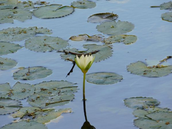 foto:RICARDO GOMEZ ROJAS - lo hecho en México