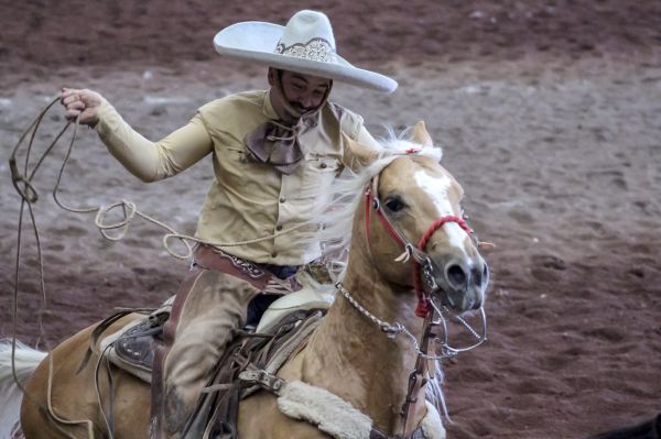 foto:Luis Gerardo  Zuñiga  Zuñiga  - lo hecho en México
