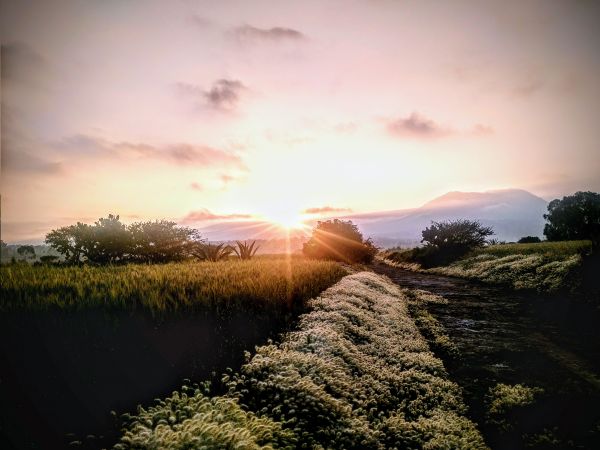 foto:Edgar Chavarria Aldana - lo hecho en México