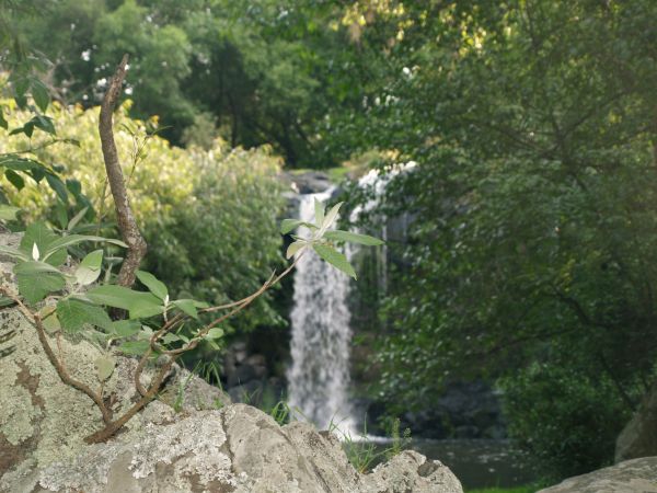 foto:Angeles Pedraza Badillo - lo hecho en México
