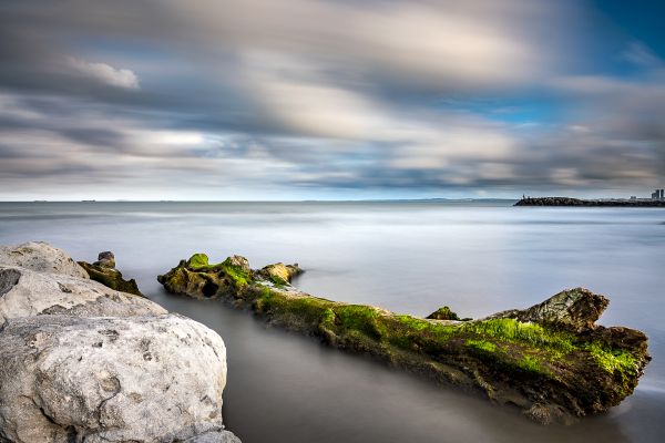 foto:Gabriel  Bravo Chavez  - lo hecho en México