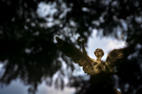 foto:HECTOR MIGUEL CARDOZO HORCASITAS - lo hecho en México