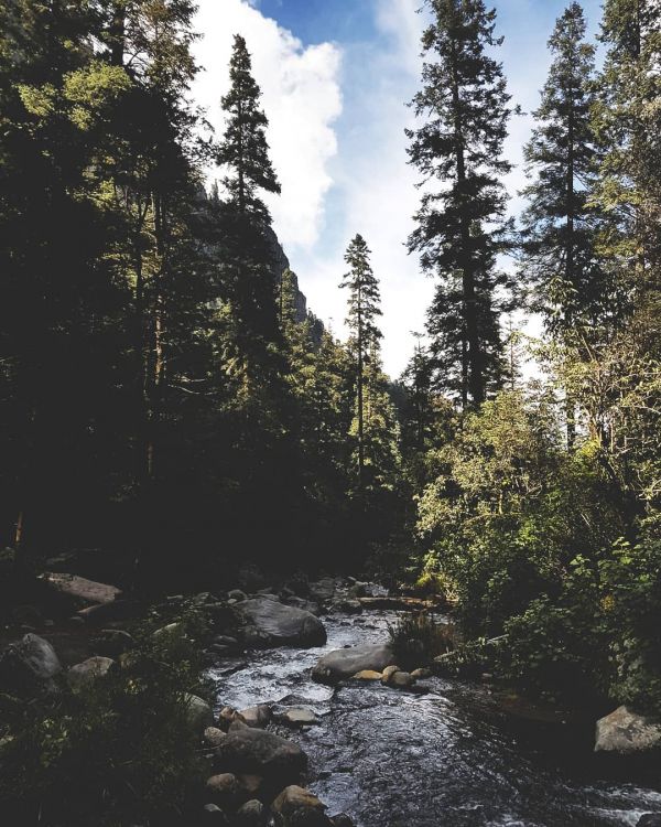 foto:Oscar Raymundo  Bautista Padrón  - lo hecho en México