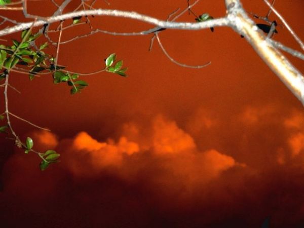 foto:Alan Yael García Rodríguez - lo hecho en México