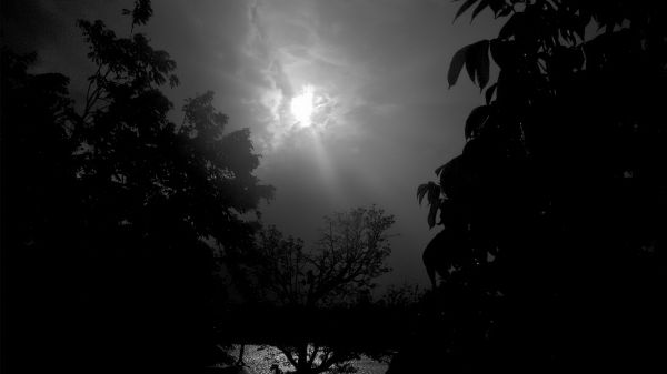 foto:Daniel Eduardo  Hernández  Ramírez  - lo hecho en México