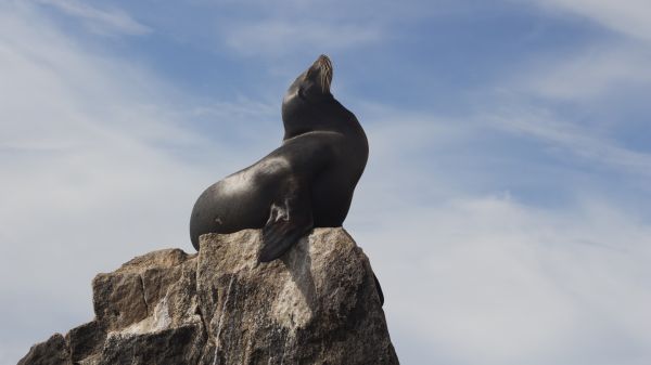 foto:Alfredo Pérez  Rouco - lo hecho en México
