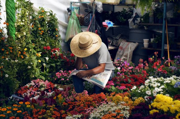 foto:Patricia Acosta Tinajero - lo hecho en México