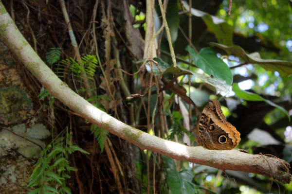 foto:Samuel alejandro diaz  banda - lo hecho en México