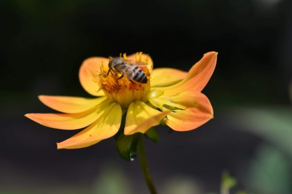 foto:Karen Arellano Pérez - lo hecho en México