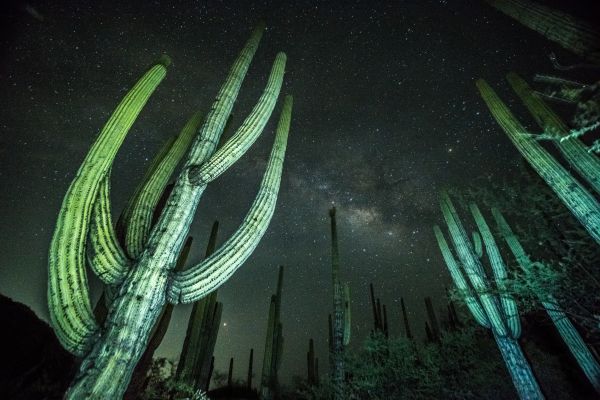 foto:Cristian Raúl Olvera Olvera - lo hecho en México