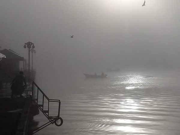 foto:OSCAR DANIEL VAZQUEZ PALAGOT - lo hecho en México