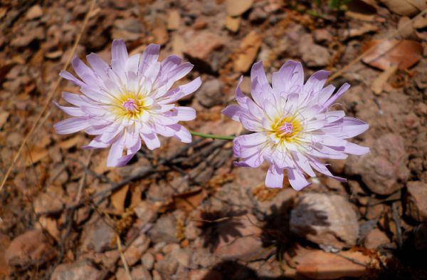 foto:Raudel Ramirez Hernandez - lo hecho en México
