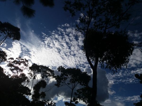 foto:Bryant Samayoa Escobar - lo hecho en México