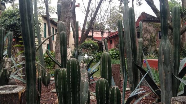 foto:Karla Idalia Ceballos Sáenz - lo hecho en México