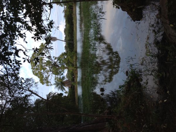 foto:Thayli Paola Mendoza Alvarez  - lo hecho en México