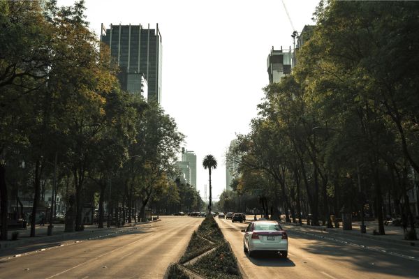 foto:Héctor Muñoz Rodríguez - lo hecho en México