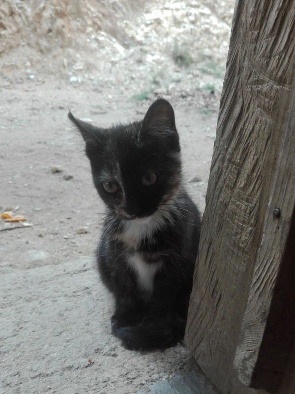 foto:Odalis Zárate Pérez - lo hecho en México