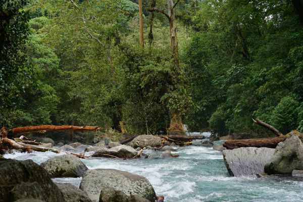foto:Rosana Pérez Rodríguez - lo hecho en México