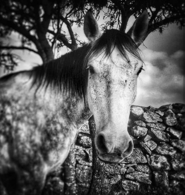 foto:Rosalinda Becerra Almendarez - lo hecho en México