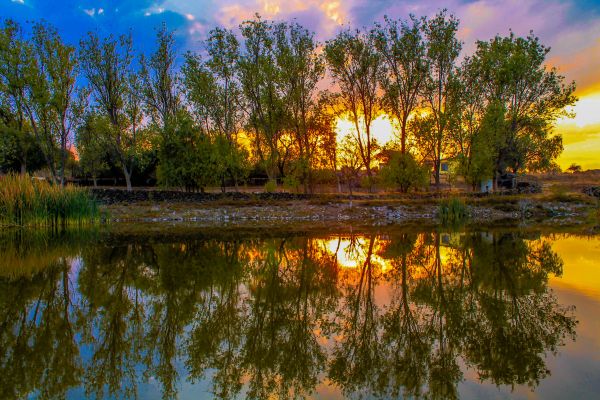foto:Diego Armando  Miranda García - lo hecho en México