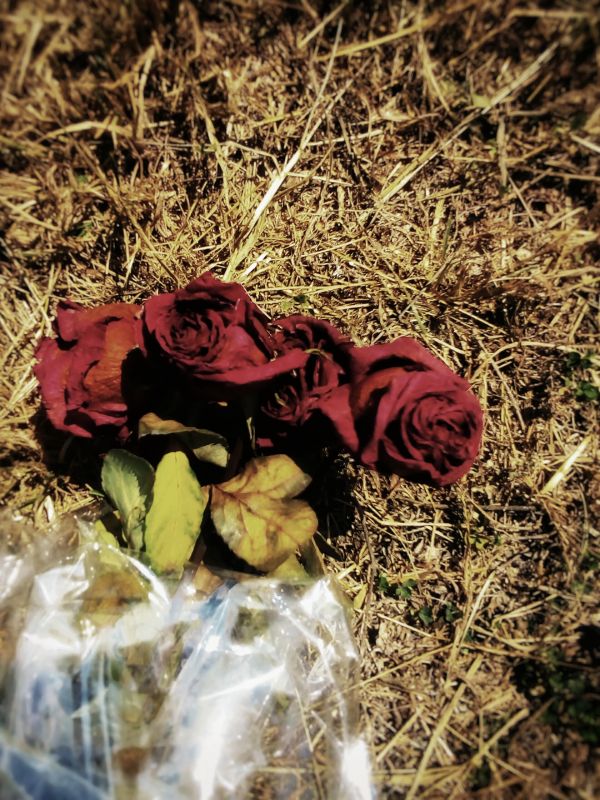 foto:Erick Rodríguez Miguel - lo hecho en México