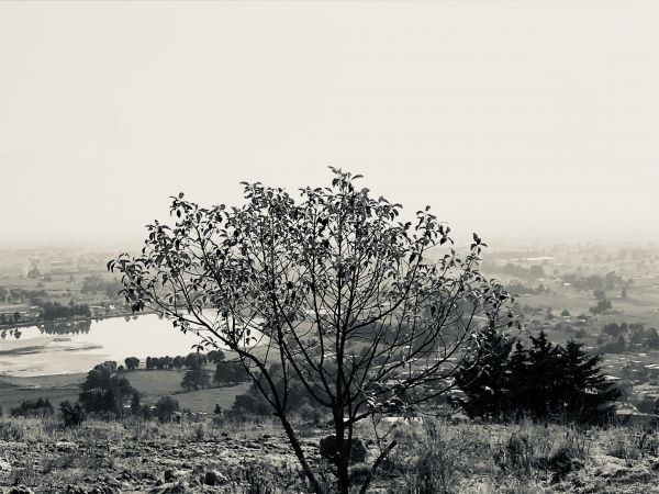 foto:Janet Castelan Juarez - lo hecho en México