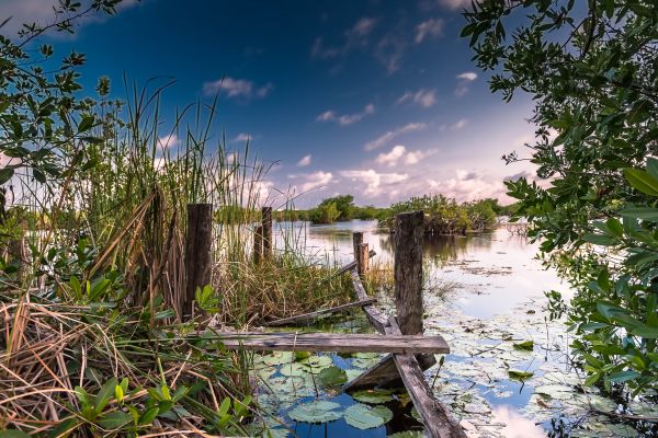 foto:brice claude  WOLFF WOLFF - lo hecho en México