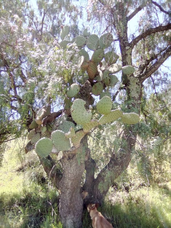 foto:Ismael Rubin Goel - lo hecho en México