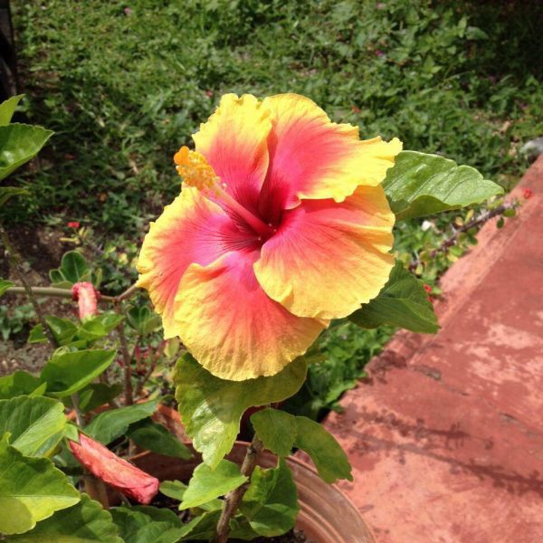 foto:silvia de maria morales martinez - lo hecho en México