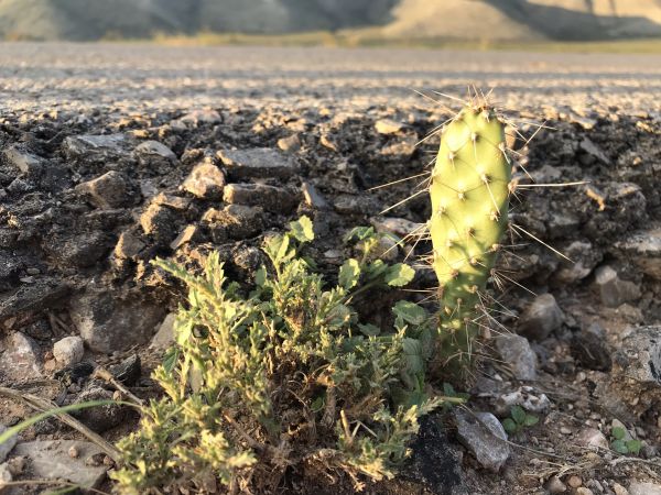 foto:Gloria De la torre Pacheco - lo hecho en México