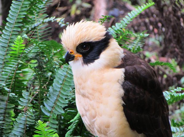 foto:Maribel  Rosales Mendoza - lo hecho en México