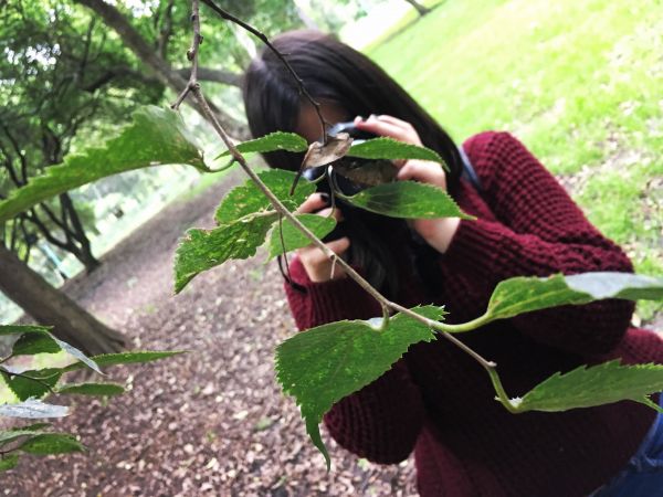 foto:Aaron Mendoza Miranda - lo hecho en México