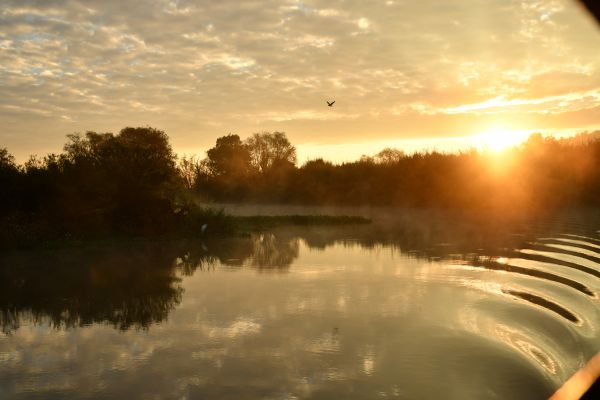 foto:Pablo Jimenez  Perez - lo hecho en México