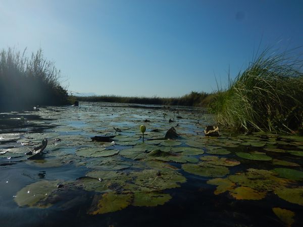 foto:Irina  Trujillo Hernandez - lo hecho en México